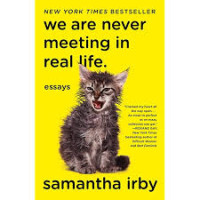 Image of We Are Never Meeting in Real Life